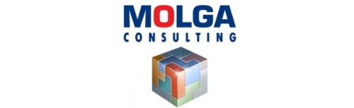 Molga Consulting